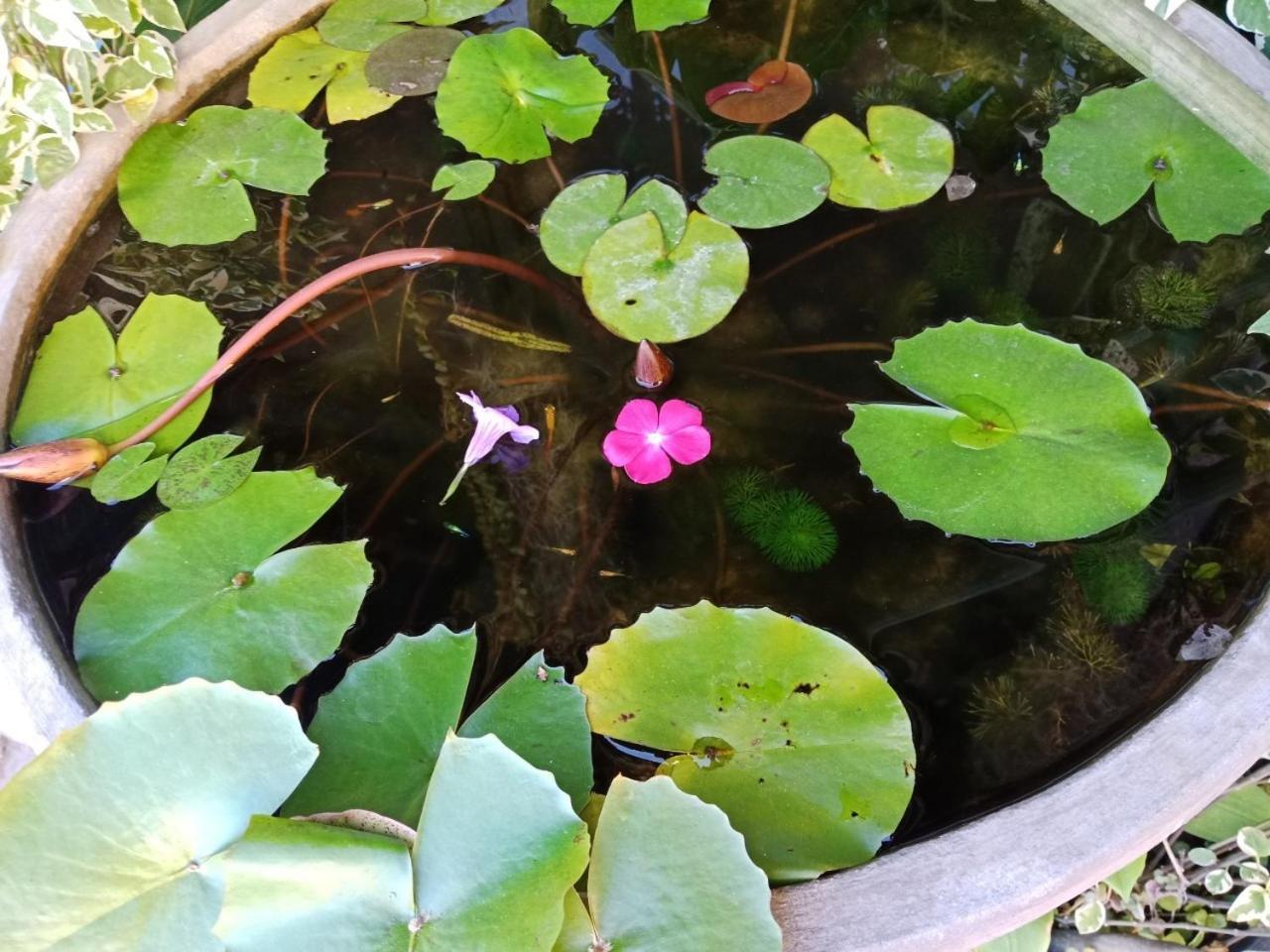 A Lanna Boutique House Otel Chiang Mai Dış mekan fotoğraf